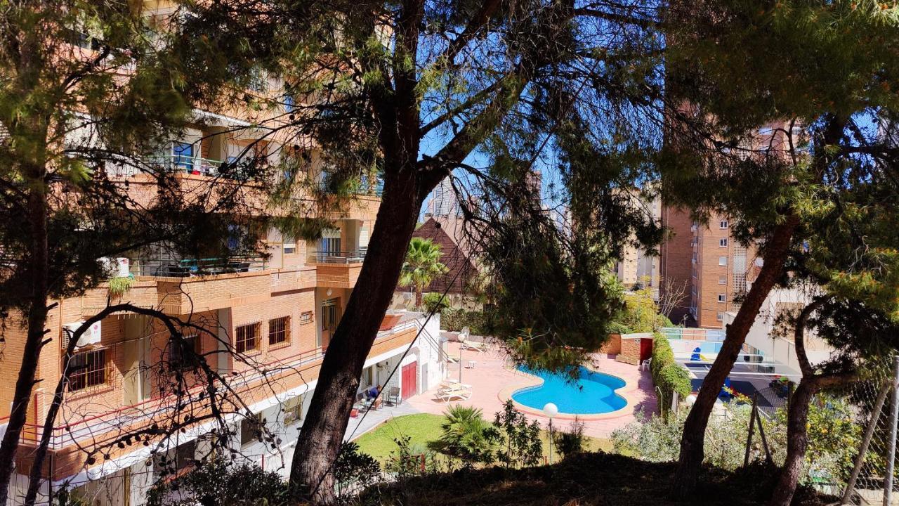Benicala Sea View Apartment Benidorm Eksteriør bilde
